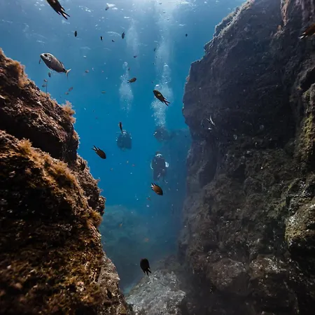 Casa La Pepita Lomas 117 Caleta de Fuste